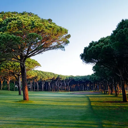 La Costa Golf &