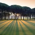 La Costa Golf & 팔스